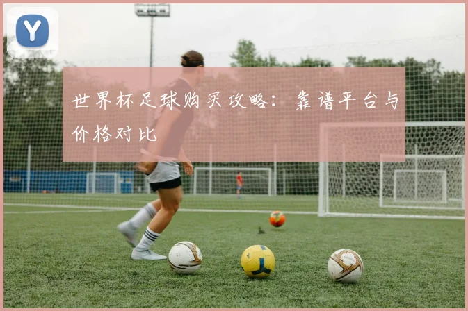 世界杯足球购买攻略:靠谱平台与价格对比