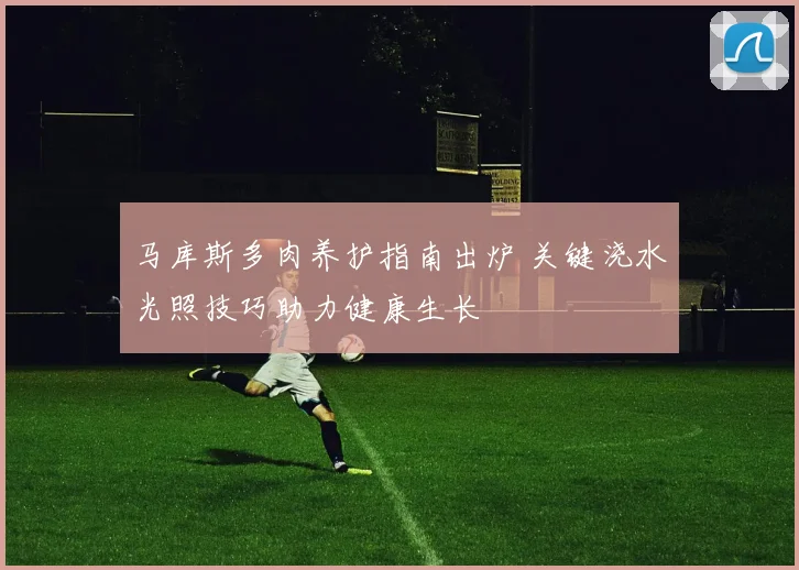 马库斯多肉养护指南出炉 关键浇水光照技巧助力健康生长