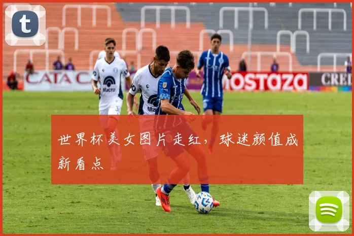 世界杯美女图片走红,球迷颜值成新看点