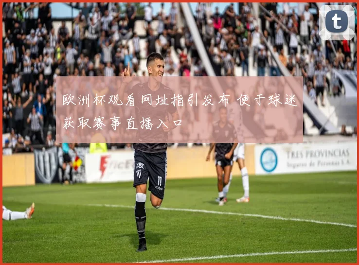欧洲杯观看网址指引发布 便于球迷获取赛事直播入口